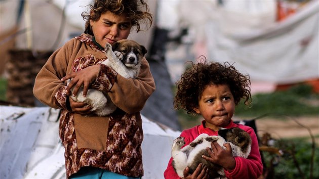 Palestinsk dvky objmaj sv psy bhem chladnho poas v jinm psmu Gazy. (10. nora 2020)