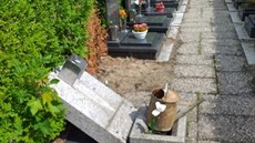 Libereck� h�bitov poni�ili vandalov�.