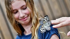 V prostoru obchodn� pas�e Rozkv�t v Brn� je otev�ena nov� tropick� zahrada...