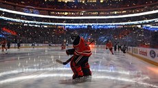 Aréna Rogers Place znovu oila pi tréninku hokejist Edmontonu. Brzy je doplní dalí celky v play off NHL.