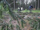 Podle správce mstských les Zdeka Krejího by se mli cyklisté lesu Ochoza...
