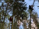 Na úpatí hory Raná po vzájemné kolizi uvázli dva paraglidisté v korunách strom.