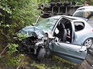 Na silnici mezi Tou�im� a Bochovem u Koj�ovic havarovalo n�kladn� auto, kter�...