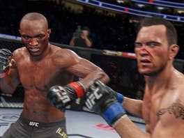 UFC 4