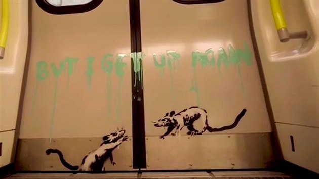 Obrzky krys, kter britsk streetartov umlec a aktivista Banksy nedvno nastkal na stny jednoho z vagon metra, pipomnaj cestujcm, e kvli koronaviru maj nosit rouky. Londnsk dopravn pdonik je vak nechal odstranit. (14. ervence 2020)