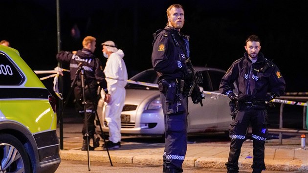 Policist vyetuj msto inu v norskm Sarpsborgu, kde tonk pobodal nkolik en. Jedna z nich zemela. (15. ervence 2020)