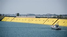 V lagun kolem Benátek z moe vyplulo 78 obrovských lutých zábran, které mají...