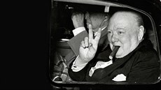 Winston Churchill v roce 1949
