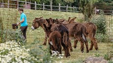 Unikátní záitková farma Oslí stezka se nachází na okraji Svárova na Kladensku,...