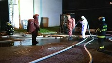 Padesát hasi likvidovalo poár v areálu firmy Brisk v Táboe.