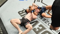 Makwan Amirkhani krtí Dannyho Henryho pi souboji organizace UFC v Abú Zabí.