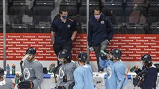 Aréna Rogers Place znovu oila pi tréninku hokejist Edmontonu. Brzy je doplní dalí celky v play off NHL.
