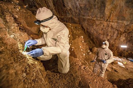Výzkumníci nali v mexické jeskyni Chiquihuite 1930 nástroj z vápence, které...
