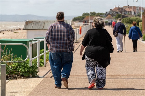 Britové  na promenád v pímoském mst mst Bexhill. (Velká Británie, 26....