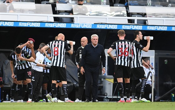 Steve Bruce, trenér Newcastlu, komunikuje se svými svenci.