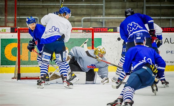 eskobudjovití hokejisté zahájili pípravu na led tréninkovým zápasem.