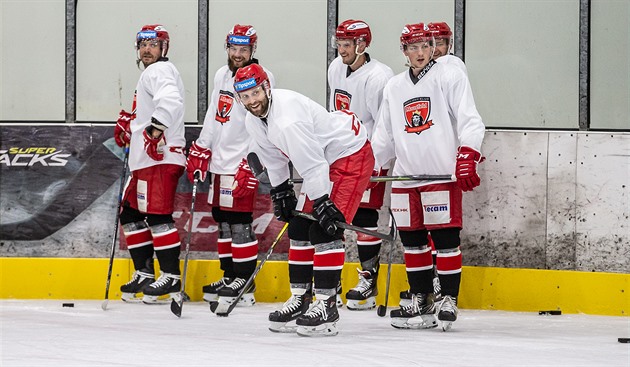 Hokejisté Hradce Králové budou trénovat na ledě v Německu