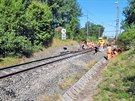 Na trati nedaleko elezniní stanice Lázn Kynvart technici opravují traový...