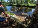 Hydrobiologové odstranili 29. ervence 2020 zkuební bariéry z Teplé Vltavy u...