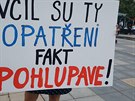 Dv tiscovky lid demonstrovaly v Ostrav proti omezenm