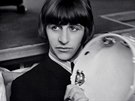 Ringo Starr (1965)