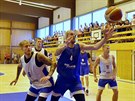 Tréninkový zápas eských basketbalových reprezentant v Mariánských Lázních. V...