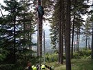 Hasii zasahovali u paraglidisty zachycenho na strom na ern hoe v...