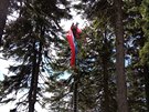 Paraglidista na ern hoe v Krkonoch se dostal ze stromu po ebcch...