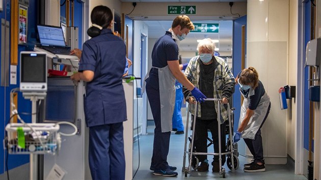 Britt zdravotnci se staraj o pacientku v NHS Seacole Centre- Nemocnice je uren pro ty, kdo se l z nkazy koronavirem. (28. kvtna 2020)