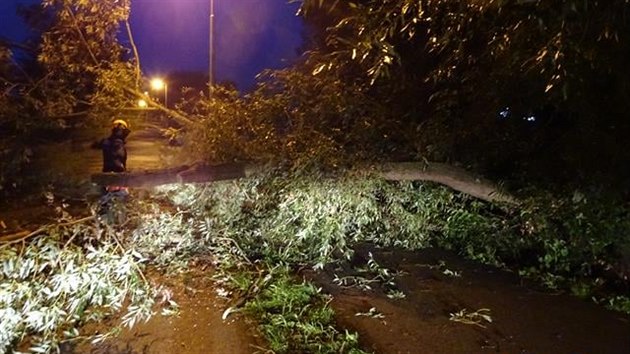 Hlídky brněnské městské policie rozřezávaly kmeny a větve. Padající stromy poškodily i několik zaparkovaných aut. (28. července 2020)