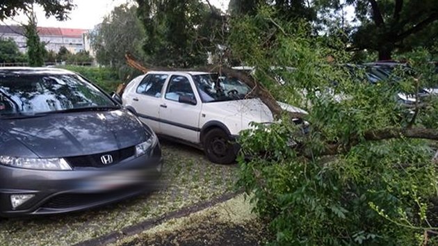 Hldky brnnsk mstsk policie rozezvaly kmeny a vtve. Padajc stromy pokodily i nkolik zaparkovanch aut. (28. ervence 2020)
