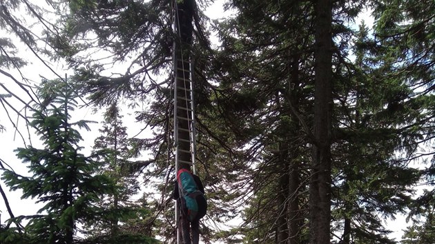 Hasii zasahovali u paraglidisty zachycenho na strom na ern hoe v Krkonoch (24. 7. 2020).