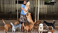Susana Somaliová se svým týmem v Jakart zachrauje desítky ps urených na...