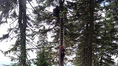 Hasiči zasahovali u paraglidisty zachyceného na stromě na Černé hoře v...