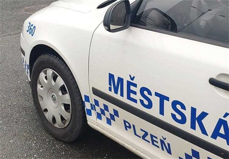 Mstská policie v Plzni pijala do svých ad trestaného neonacistu. Nyní nemá...