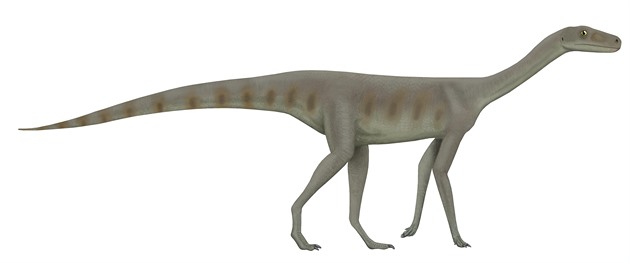 Který dinosaurus byl první? Na stopu přivedl vědce slezský ještěr