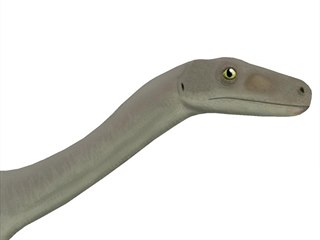 Asilisaurus kongwe byl vzhledově typickým zástupcem čeledi silesauridů,...