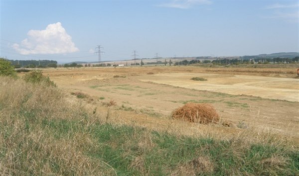 Společnost Akupi zničila terénními úpravami vzácný biotop v Letech na Písecku. (31. července 2020)