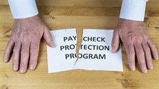 Americký Program ochrany mezd pro malé podniky (PPP Loan) má za úkol...