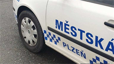 Mstská policie v Plzni pijala do svých ad trestaného neonacistu. Nyní nemá...