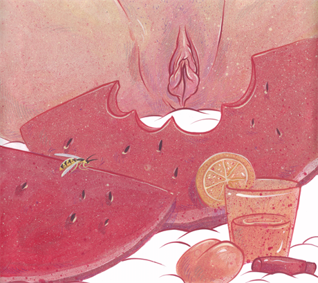 Ilustrtor Jan Gruml maluje vulvy podle relnch pedloh dvek a en.