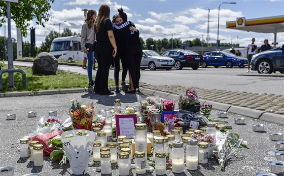 Pi pestelce ve védském mst Botkyrka zabila zbloudilá stela 12letou...