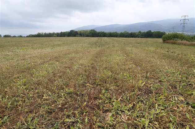 Bývalé leti�t� Chaba�ovice. Místo, kde firma chce stav�t haly, je u sjezdu na...