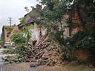 V Plzni se ztila stna oputnho domu, kde se zdrovali bezdomovci