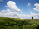 Obklopeny vinicemi z�st�vaj� Dunajovick� kopce m�stem pro �ivot nesm�rn�ho...