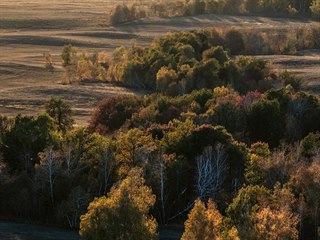 Po zániku sovětských kolchozů byly obrovské plochy polí a pastvin ponechány...