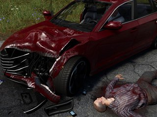 Accident: The Pilot