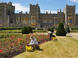 Hrad Windsor, jedno ze sídel britské královské rodiny a souasn oblíbený...