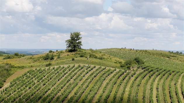 Obklopeny vinicemi zstvaj Dunajovick kopce mstem pro ivot nesmrnho mnostv rostlin a ivoich a pyn se titulem prodn pamtky.