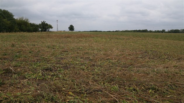 Spolenost CPI Land Development chce postavit logistick a vrobn arel o rozloze 25 tisc metr tverench na mst nkdejho letit u Chabaovic.